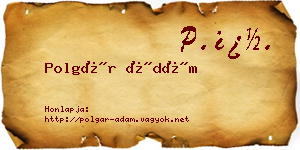Polgár Ádám névjegykártya
